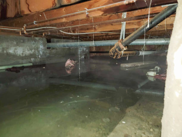 Best Local water damage restoration  in Oakdale, CA