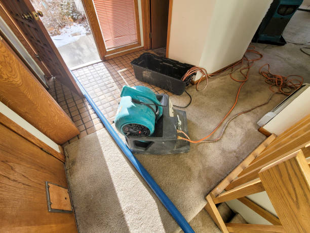 Best Flood damage cleanup  in Oakdale, CA