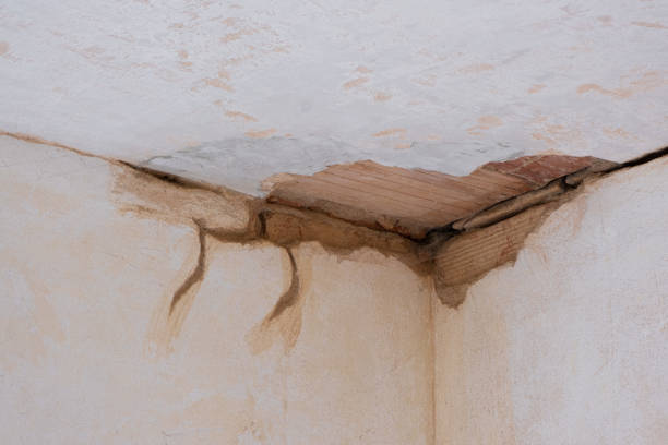 Best Water damage restoration near me  in Oakdale, CA