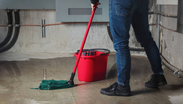 Best Water damage restoration services  in Oakdale, CA