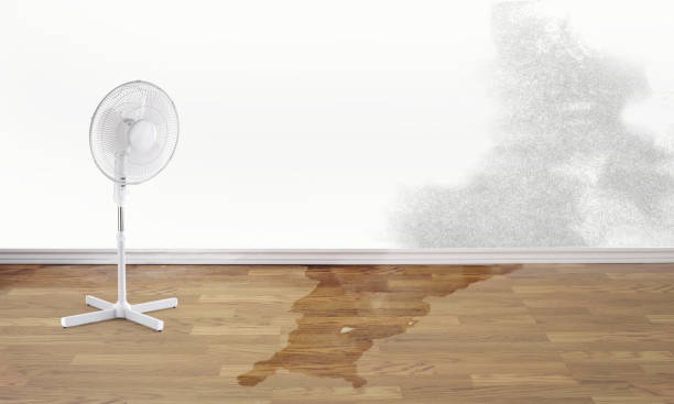 Best Water damage cleanup near me  in Oakdale, CA