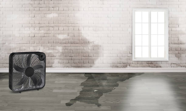 Best 24/7 water damage repair  in Oakdale, CA
