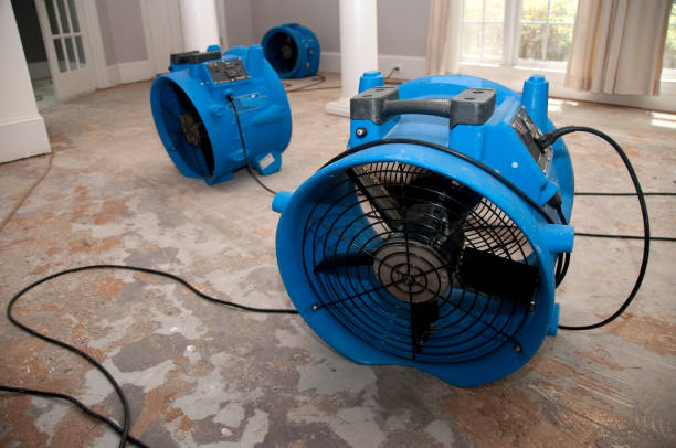Best Professional water damage repair  in Oakdale, CA