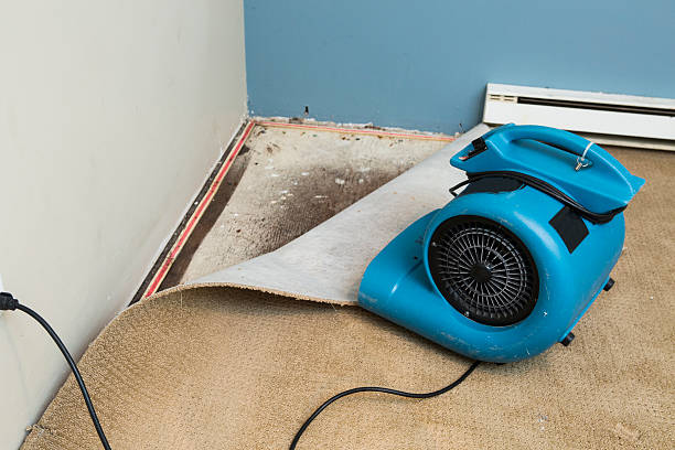 Best Flood damage cleanup  in Oakdale, CA